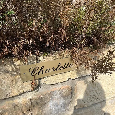 Charlotte - Kurort Gohrisch - Terrasse - Gartensauna - Parkplatz בית נופש